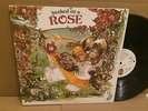  canada breaks HOOKED ON A ROSE drums PSYCH funky FUZZ OG LP
