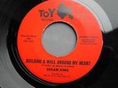 SUSAN KING - BUILDING A WALL AROUND MY HEART - TOY Soul Popcorn 7