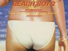 Beach Boys The Very Best Of The Beach ... UK 2-LP  (Double )