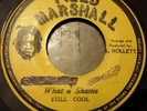 Still Cool What A Shame killer Roots 7
