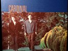 CARDINAL ERIC MATTHEWS/RICHARD DAVIES ORIG 1994 FLYDADDY 004 LP NEAR MINT MOLES