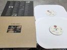 Tom Petty Wildflowers Lp Super Hard To Find