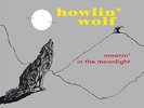 Howlin' Wolf - Moanin' in the Moonlight (Vinile)