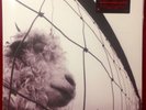 Pearl Jam - Vs. LP [Vinyl NEW] 180gm Audiophile Pressing (2011 Legacy)