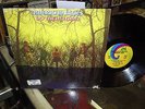 PROMO American Blues-Orig '69 American Blues Do Their Thing-Psych/Blues R2 EX