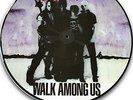 ? MISFITS - Walk Among Us // Picture Disc Edition 2007 // NJ punk 1982 ?