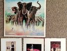 SIGNED ELVIS COSTELLO & THE ATTRACTIONS ARMED FORCES ViINYL A1/B2  + 3 Cards.