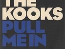 THE KOOKS Pull Me In 2007 UK 1-sided promo only heavy vinyl Xmas 7