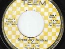 Jah Lloyd - Green Bay Incident - KILLER