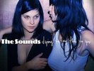 The Sounds SEALED 12