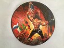 MANOWAR Picture Vinyl, limitiert - Warriors of the world united