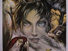 RAMINGHI: Il Lungo Cammino Dei Raminghi LP (Italy, '98 reissue from original ma
