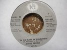 LITTLE REUBEN - In The Name Of Loneliness - DETROIT MODERN SOUL 45 - New Records