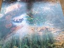 pink floyd a saucerful of secrets