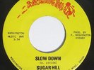 SUGAR HILL Slow Down / That's Love 45 on Washington Rare Milwaukee Funk M-