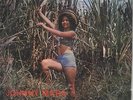 JOHNNY MARA Y TITO CHICOMA - TUMBA LA CANA - LP INS COLOMBIA