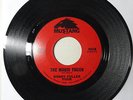 Bobby Fuller Four The Magic Touch/My True Love Northern Soul 45 Mustang 3018, M-