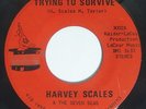 HARVEY SCALES & 7 SEAS Trying To Survive 45 on Magic Touch Rare Milwaukee Funk