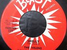 RaRe Doo-Wop PRoMo THE VELONS Shelly bw From The Chapel 45 on Blast