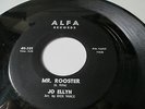 Jo Ellyn Al;fa 101 Mr Rooster