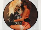 Iron Maiden 'Last Pub Gig' 1980 Live @Ruskin Arms LP Picture Disc NM Paul DiAnno