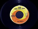45 RPM THE HONEYS-THE ONE YOU CAN'T HAVE & FROM JIMMY WITH TEARS-CAPITOL 5093