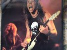 Metallica - Weed Killer And Sugar Lp