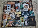 TIGER B. SMITH - We`re the tiger bunch  LP KLASSIKER
