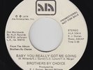 70s Soul Funk 45 - Brothers By Choice - Baby You Really Got Me Going - ALA VG++