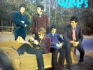 The V.I.P.s SPOOKY TOOTH NEAR MINT Funtona 2xVinyl LP