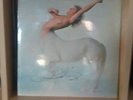 Roger Daltrey - Ride a Rock Horse LP  **SIGNED**