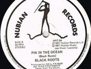nubian records 12