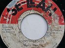 T BIRD EXPERIENCE - ROOTS IN ROOTS / ROOTS DUB- SE-LAH - KILLA ROOTS   7'' - VG-