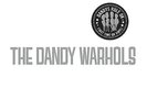 THE DANDY WARHOLS DANDYS RULE OK 2X12