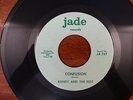 RANDY AND THE REST CONFUSION DREAMING GARAGE PSYCH JADE 45 VG++