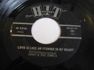JENNY & JEWELS - LOVE IS LIKE AN ITCHING IN MY HEART - US HIT 7