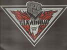 Vanadium - Metal rock