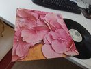 STILL LIFE same Vertigo prog original 1972 LP MINT