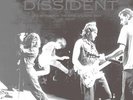PEARL JAM-DISSIDENT: LIVE AT THE FOX THEATRE-VINYL LP BRR NEW