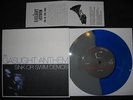 THE GASLIGHT ANTHEM - SINK OR SWIM DEMOS 7