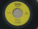 SIR MICHAEL & SOUNDS CAN YOU DIG orig US G45 GARAGE PUNK BEAT 7