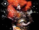 LP Biophilia by Björk Vynil (TMB476692)