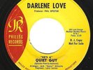Northern Soul 45 DARLENE LOVE 