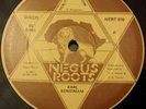 Earl Bengiman Health And Sorrow Killer Roots 12