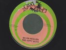 THE HIPPY BOYS seven heaven RARE REGGAE 45 on GAY FEET