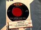 CHUCK BERRY YOU NEVER CAN TELL RARE TITLE STRIP NEAR MINT CHESS BRENDA   R&B 45