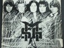 THE MICHAEL SCHENKER GROUP 
