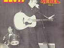 Elvis Presley - The Rockin' Rebel V.2  / Golden Archives GA-300 (LP) w/gatefold