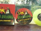 BAD BRAINS BUILD A NATION  BOX SET 3 COLOUR VINYLS 1 PICTURE DISC