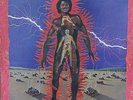 Vinyle 33T James Brown  
